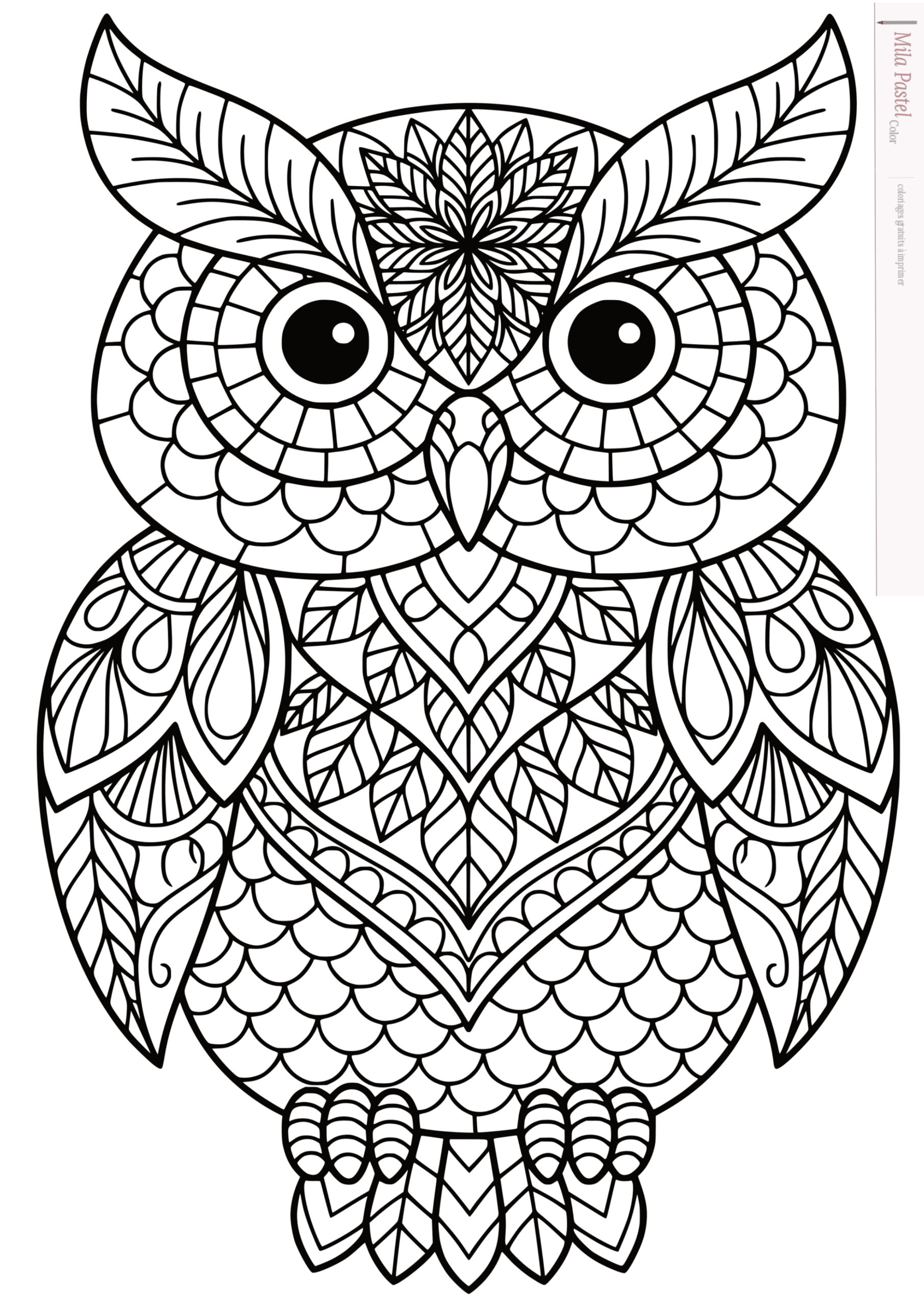 Vague de sérénité zentangle