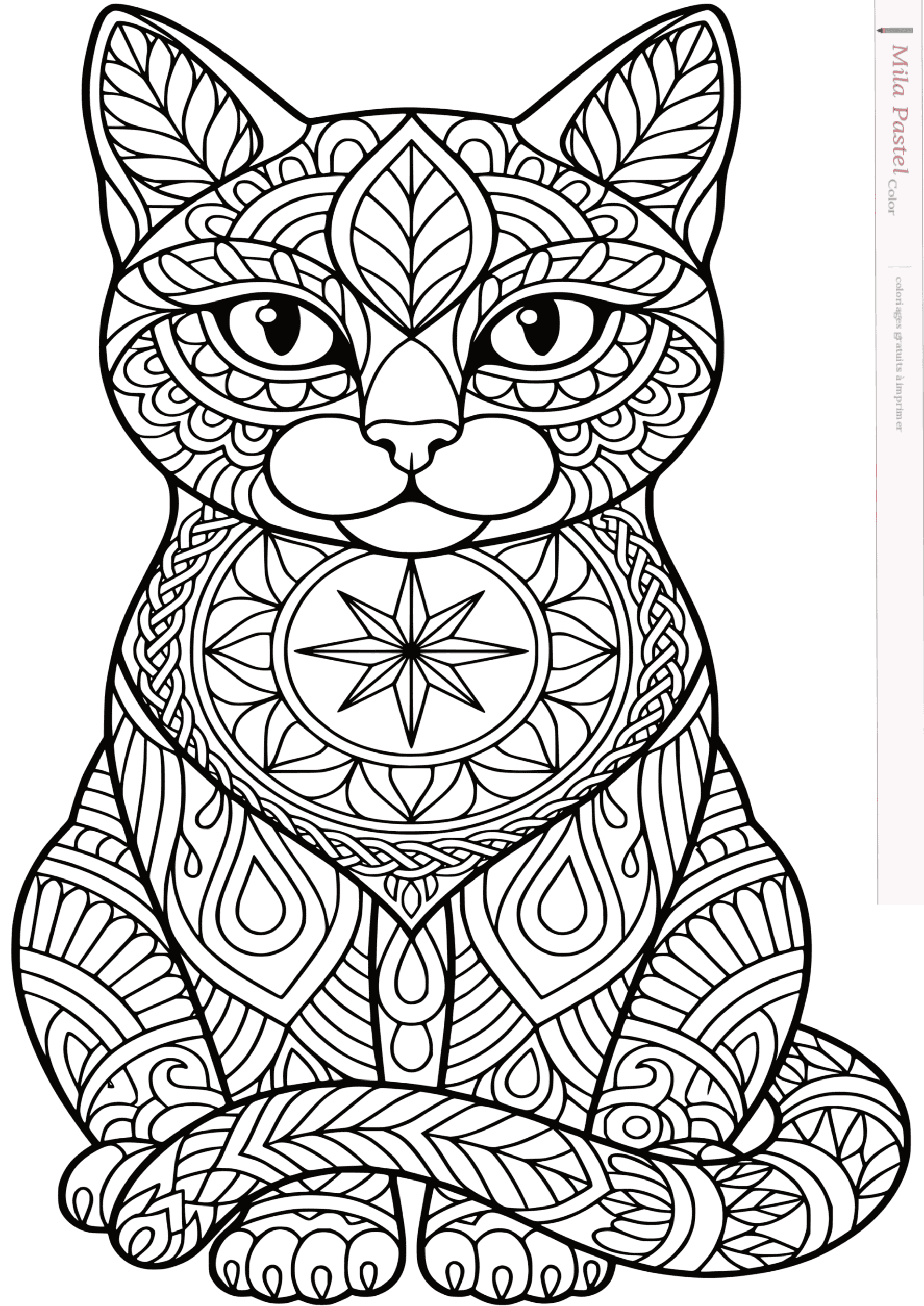 Chat solaire zentangle